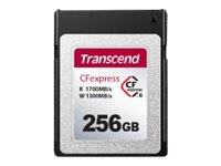 Transcend CFexpress 820 - Carte mémoire flash - 256 Go - CFexpress de type B TS256GCFE820